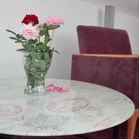 Dixy Appartement Belgrado